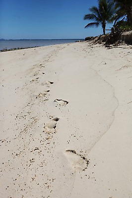 포토 JPG 주간 해외 풍경 해변 사람없음 야외 모래사장 오세아니아 발자국 국내포토 자연요소 나라 바다 자국 파일형식