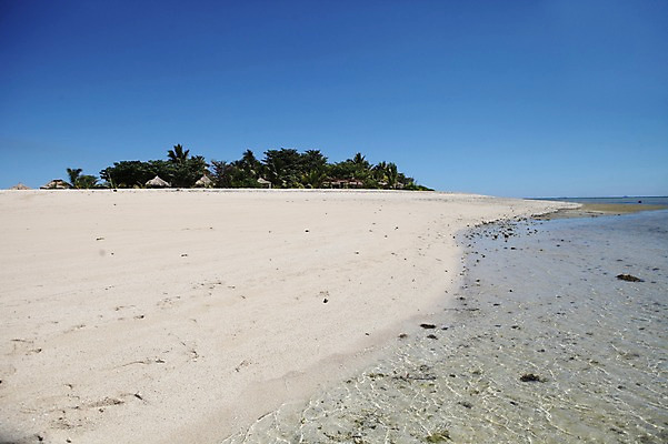 포토 JPG 주간 해외 풍경 해변 사람없음 야외 모래사장 야자수 오세아니아 국내포토 자연요소 나무 나라 바다 파일형식
