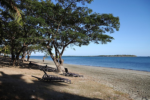 포토 JPG 주간 나무 해외 풍경 해변 사람없음 야외 오세아니아 그늘 선베드 국내포토 자연요소 식물 나라 바다 의자 파일형식