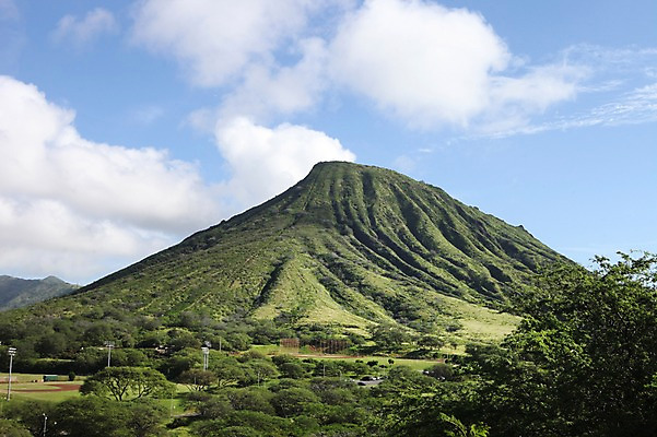 포토 JPG 주간 나무 해외 산 아메리카 풍경 사람없음 야외 미국 하와이 야구장 국내포토 자연요소 식물 북아메리카 스포츠시설 대륙 파일형식