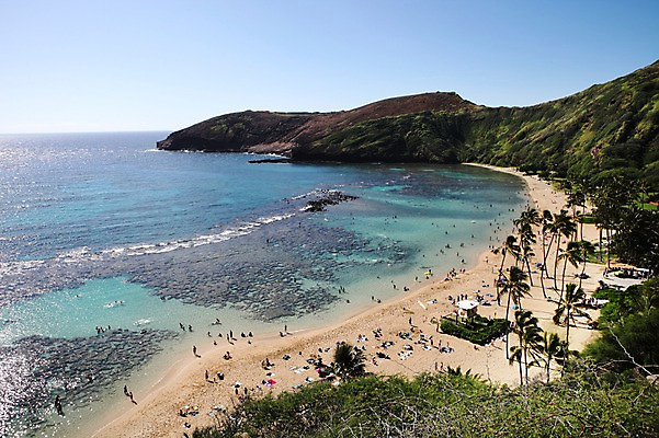 포토 JPG 주간 해외 섬 산 아메리카 사람 풍경 여러명 해변 야외 야자수 미국 하와이 국내포토 자연요소 나무 바다 다수 북아메리카 대륙 파일형식