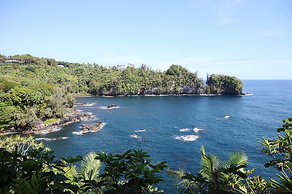 포토 JPG 주간 해외 바다 섬 자연 아메리카 풍경 사람없음 야외 야자수 미국 바위 하와이 야자수잎 국내포토 자연요소 나무 잎 북아메리카 돌_바위 대륙 생태계 파일형식