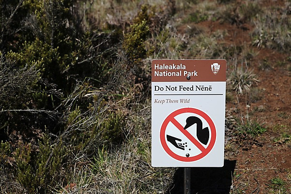 포토 JPG 주간 해외 공원 국립공원 아메리카 사람없음 야외 미국 금지 표지판 하와이 국내포토 자연요소 공공시설 북아메리카 알림판 대륙 파일형식