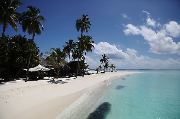 포토 JPG 주간 구름 해외 아시아 하늘 풍경 해변 사람없음 야외 모래사장 야자수 몰디브 국내포토 자연요소 나무 나라 바다 파일형식