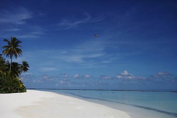 포토 JPG 주간 구름 해외 아시아 하늘 풍경 해변 사람없음 야외 모래사장 야자수 몰디브 국내포토 자연요소 나무 나라 바다 파일형식
