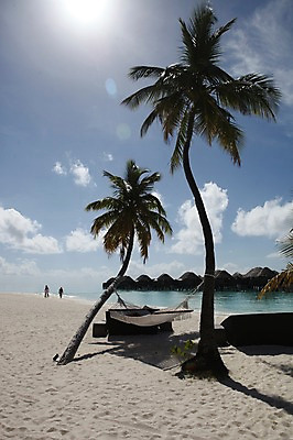 포토 JPG 주간 해외 아시아 풍경 해변 사람없음 야외 모래사장 야자수 햇빛 해먹 몰디브 국내포토 자연요소 나무 나라 바다 태양 침대 파일형식