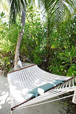 포토 JPG 주간 나무 해외 아시아 사람없음 야외 해먹 몰디브 국내포토 자연요소 식물 나라 침대 파일형식