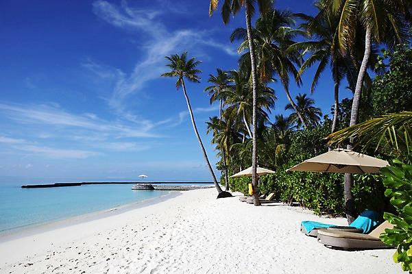 포토 JPG 주간 해외 아시아 풍경 해변 사람없음 야외 모래사장 야자수 파라솔 선베드 몰디브 국내포토 자연요소 나무 나라 바다 의자 파일형식