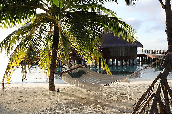 포토 JPG 주간 해외 아시아 풍경 해변 사람없음 야외 모래사장 야자수 수상가옥 해먹 몰디브 국내포토 자연요소 나무 나라 바다 주택 침대 파일형식