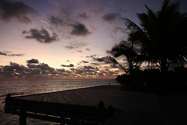포토 JPG 주간 구름 해외 실루엣 아시아 바다 하늘 풍경 사람없음 야외 야자수 일몰 몰디브 국내포토 자연요소 나무 나라 촬영기법 노을 파일형식