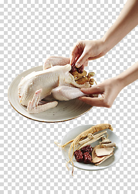 편집 편집이미지 접시 손 한식 음식 여름음식 한명 사람 신체부위 닭고기 양손 약재 인삼 대추 삼계탕 PNG 편집소스 제철음식 1 식기 육류 약 삼 보양식 제철 파일형식 여름_계절