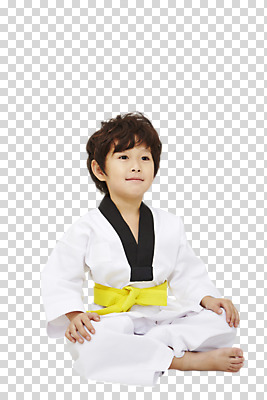 전신 편집 편집이미지 응시 남자 어린이 한명 앉기 동양인 소년 앞모습 운동 한국인 태권도 태권도복 PNG 남자만 어린이만 편집소스 1 시선 뷰포인트 모션 건강 도복 사람 인종 격투기 파일형식