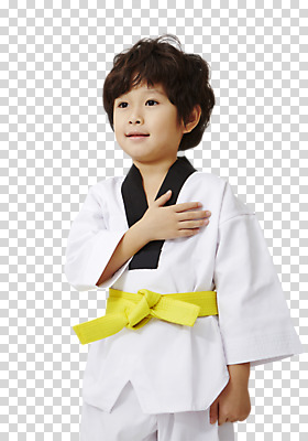 편집 편집이미지 응시 남자 어린이 한명 동양인 소년 상반신 앞모습 운동 한국인 태권도 태권도복 PNG 국민의례 남자만 어린이만 편집소스 1 시선 뷰포인트 건강 도복 사람 인종 격투기 파일형식