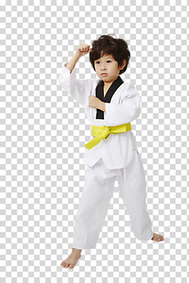 전신 편집 편집이미지 남자 어린이 한명 서기 동양인 소년 앞모습 운동 주먹 한국인 태권도 태권도복 품새 PNG 남자만 어린이만 편집소스 1 뷰포인트 모션 건강 도복 사람 인종 격투기 파일형식