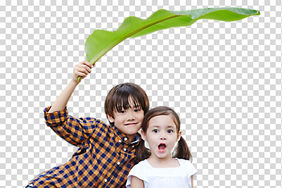 서양인 백인 편집 편집이미지 여자 남자 어린이 나뭇잎 웃음 들기 소녀 소년 상반신 두명 앞모습 PNG 어린이만 편집소스 외국인 뷰포인트 잎 모션 표정 사람 파일형식