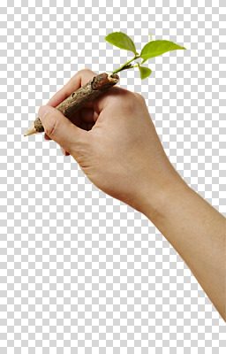 나무 편집 편집이미지 손 나뭇잎 한명 들기 사람 신체부위 연필 기록 PNG 편집소스 식물 1 잎 모션 학용품 필기구 파일형식