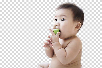 편집 편집이미지 응시 남자 어린이 한명 동양인 소년 상반신 옆모습 블록 한국인 아기 먹기 PNG 남자만 어린이만 편집소스 1 시선 뷰포인트 모션 사람 인종 파일형식