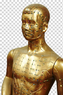 편집 편집이미지 신체 인체모형 상반신 사람없음 한의학 마네킹 오브젝트 PNG 편집소스 의학 모형 파일형식