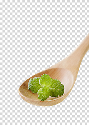 편집 편집이미지 음식 식재료 사람없음 숟가락 허브 PNG 편집소스 식물 수저 파일형식