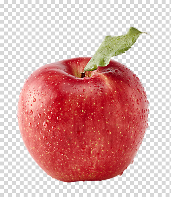 편집 편집이미지 음식 잎 사람없음 한개 물방울 신선 사과 PNG 편집소스 식물 1 과일 파일형식
