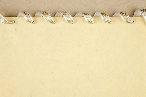 포토 JPG 해외이미지 기념일 리본 종이 백그라운드 휴가 프레임 사람없음 장식 공백 골동품 축하 인사 생일 황금 앨범 질감 복고 페이지 그런지 스크랩북 옛날 핸드메이드 해외202004 해외포토 컨셉 이벤트 예절 파일형식 이미지허브