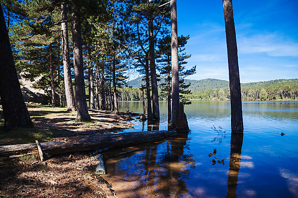 포토 JPG 해외이미지 유럽 호수 섬 여행 자국 자연 하늘 산 풍경 사람없음 야외 초록색 파란색 반사 걷기 계곡 프랑스 오솔길 지중해 언덕 내추럴 프랑스어 코르시카 해외202004 해외포토 문자 나라 길 바다 컬러 모션 생태계 파일형식 이미지허브