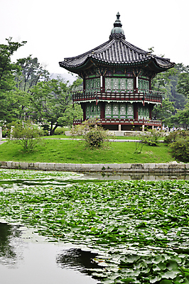 포토 JPG 해외이미지 나무 식물 전통 디자인 아시아 문화 호수 여행 잎 건축양식 자연 하늘 휴식 주택 서울 한국 동양인 사람없음 야외 건물 목재 빨간색 초록색 물 파란색 컬러풀 정원 침묵 궁전 골동품 도시 역사 당구 남쪽 옛날 전국 해외202004 해외포토 자연요소 건축물 건축 나라 컬러 컨셉 고건축 재료 인종 구기 소리 방향 생태계 파일형식 이미지허브