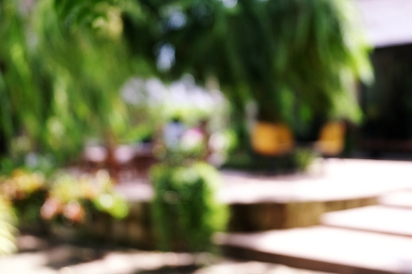 포토 JPG 해외이미지 나무 식물 디자인 계절 공원 백그라운드 컨셉 잎 패턴 밭 자연 벽지 추상 풍경 사람없음 야외 초록색 여름 빛 햇빛 태양 우주 환경 정원 맑음 봄 가을 신선 소프트포커스 숲 질감 보케 부드러움 내추럴 블러 효과 해외202004 해외포토 자연요소 공공시설 컬러 무늬 농업 날씨 촬영기법 감각 생태계 파일형식 이미지허브