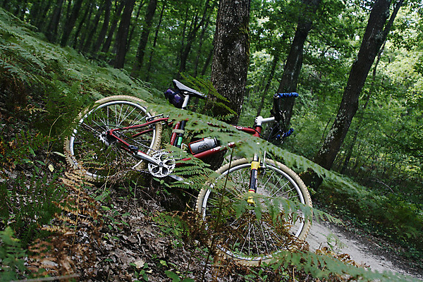 포토 JPG 해외이미지 여자 남자 스포츠 자연 산 풍경 경사 성인 사람없음 야외 사이클링 산악자전거 해외202004 해외포토 사람 자전거 육상스포츠 생태계 파일형식 이미지허브