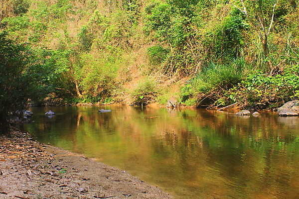 포토 JPG 해외이미지 나무 길 밧줄 여행 태국 자연 휴가 따뜻함 풍경 사람없음 야외 목재 초록색 물 여름 강 햇빛 태양 반사 맑음 흐름 흰색 개울 숲 위험 무서움 속도 철사 원시시대 리빙 옛날 해외202004 해외포토 자연요소 식물 계절 감정 아시아 줄 컬러 컨셉 재료 날씨 역사 생태계 파일형식 이미지허브