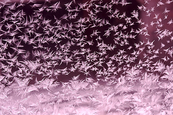 포토 JPG 해외이미지 백그라운드 겨울 패턴 유리 추상 사람없음 얼음 추위 그림 해외202004 해외포토 자연요소 계절 무늬 재질 파일형식 이미지허브