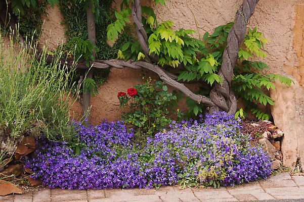 포토 JPG 해외이미지 유럽 음식 농업 과일 사람없음 건포도 해외202004 해외포토 나라 산업 포도 건과일 파일형식 이미지허브