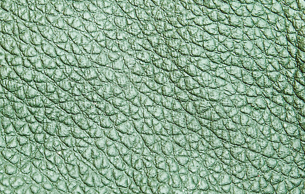 포토 JPG 해외이미지 동물 가구 백그라운드 패턴 벽지 표면 사람없음 초록색 어둠 직물 거친 주름 소 가죽 피부 질감 날것 층 내추럴 소가죽 진짜 해외202004 해외포토 컬러 생활용품 무늬 포유류 신체부위 파일형식 이미지허브