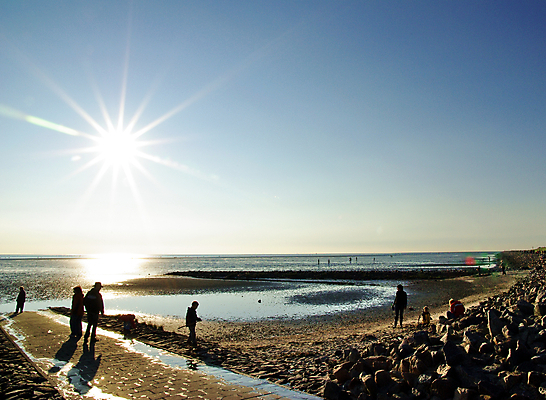 포토 JPG 해외이미지 바다 여행 가족 자연 하늘 휴가 휴식 수영장 사람없음 물 여름 해외202004 해외포토 자연요소 계절 컨셉 관계 생태계 파일형식 이미지허브