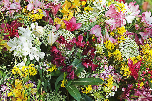 포토 JPG 해외이미지 꽃 백그라운드 꽃무늬 추상 사람없음 빨간색 초록색 컬러풀 노란색 개화 강렬 해외202004 해외포토 식물 컬러 무늬 파일형식 이미지허브