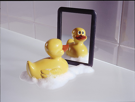 포토 JPG 해외이미지 동물 어린이 백그라운드 놀이 조류 오리 사람없음 물 장난감 노란색 목욕 욕실 게임 흰색 아기 플라스틱 심볼 오브젝트 부리 고무 고립 샤워실 위생관리 해외202004 해외포토 자연요소 컬러 재질 관리 사람 청결 샤워시설 파일형식 이미지허브