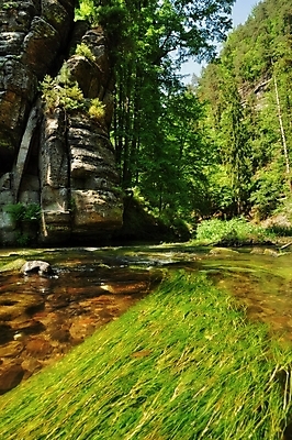 포토 JPG 해외이미지 나무 식물 계절 공원 여행 잎 자연 하늘 산 풍경 사람없음 야외 초록색 물 여름 파란색 강 반사 평화 환경 맑음 봄 폭포 젖음 흐름 가을 바위 시골 개울 떨어짐 숲 스위스 장면 체코 내추럴 공화국 해외202004 해외포토 자연요소 공공시설 유럽 나라 컬러 컨셉 날씨 돌_바위 생태계 파일형식 이미지허브