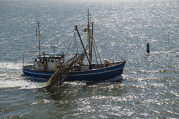 포토 JPG 해외이미지 교육 문화 바다 낚시 조개 새우 사람없음 물 세계문화유산 그물 어선 보트 행운 네덜란드 함선 홍합 뱃놀이 해외202004 해외포토 자연요소 유럽 컨셉 배_교통 레저 어패류 갑각류 전통놀이 문화재 파일형식 이미지허브