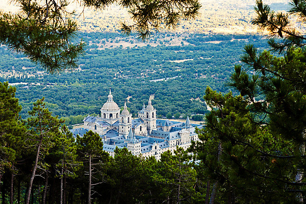 포토 JPG 해외이미지 나무 식물 건축물 계절 유럽 여행 낙엽 건축양식 사람없음 건물 교회 소나무 스페인 상록수 침엽수 수도원 해외202004 해외포토 건축 나라 잎 종교건축 파일형식 이미지허브