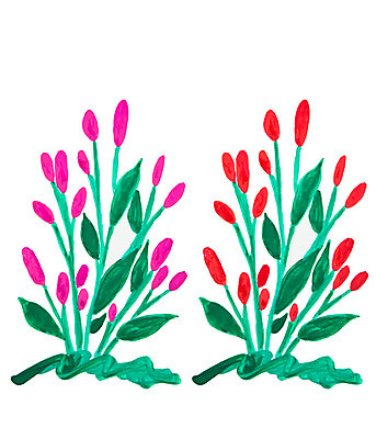 JPG 해외이미지 식물 꽃 꽃다발 일러스트 붓터치 수채화 사람없음 그림 번짐 양귀비 해외202004 해외일러스트 파일형식 효과 이미지허브