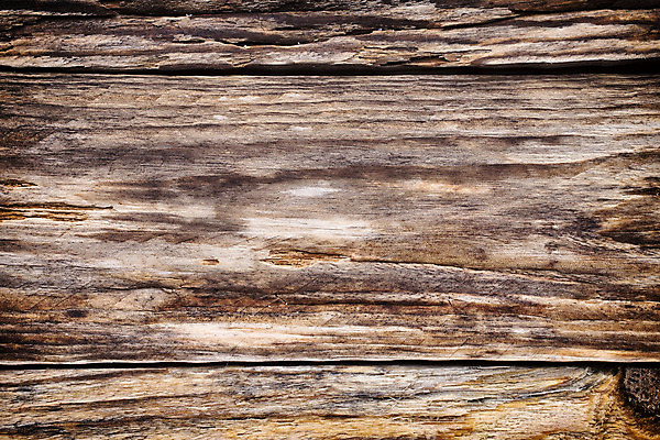 포토 JPG 해외이미지 음식 빵 조각 부분 건강 씨앗 사람없음 갈색 식사 빵집 껍질 신선 원형 아침식사 낟알 시리얼 밀 굽기 만취 먹기 오브젝트 유기농 토스트 덩어리 점심식사 아마 작살 호밀 귀리 해외202004 해외포토 도형 식물 웰빙 꽃 컬러 모션 곡류 상점 구이 술취함 파일형식 이미지허브