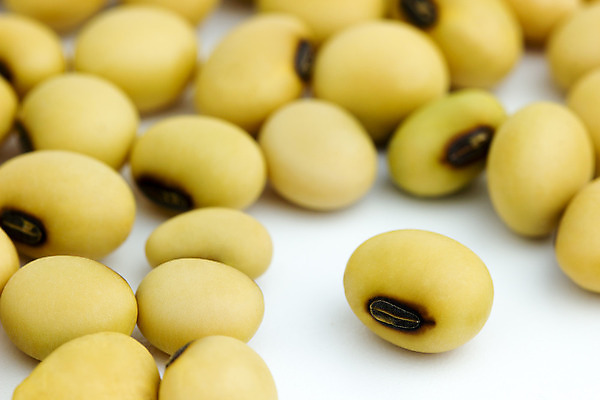 포토 JPG 해외이미지 식물 음식 백그라운드 농업 다이어트 채소 재료 콩 건조 건강 씨앗 동양인 사람없음 노란색 흰색 신선 유기농 날것 섬유 내추럴 단백질 대두 해외202004 해외포토 웰빙 산업 컬러 곡류 인종 직물 영양소 파일형식 이미지허브