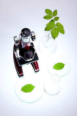 포토 JPG 해외이미지 식물 과학 유리 실험 사람없음 초록색 약 반사 장비 투명 액체 실험실 생명공학 가득함 과학자 플라스크 분석 측정 에코 비커 미생물 유리그릇 튜브 조제 화학물질 많음 해외202004 해외포토 직업 그릇 컬러 컨셉 의학 재질 생물 실험기구 환경 화학 만들기 학자 파일형식 이미지허브