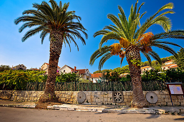 포토 JPG 해외이미지 나무 바다 섬 여행 요트 자연 하늘 낚시 주택 파노라마 손바닥 풍경 사람없음 건물 초록색 파란색 컬러풀 여행객 산책로 소나무 만 어부 지중해 타운 크로아티아 해외202004 해외포토 식물 직업 건축물 손 유럽 길 컬러 배_교통 레저 촬영기법 사람 도시 생태계 파일형식 이미지허브