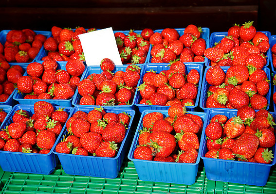 포토 JPG 해외이미지 계절 열매 음식 농업 과일 딸기 건강 노르웨이 사람없음 빨간색 농작물 상자 농장 꼬리표 라벨 세일 바구니 상점 공백 수확 신선 그룹 티켓 시장 달콤 가격 컨테이너 유기농 매각 숙성 스칸디나비아 많음 해외202004 해외포토 식물 웰빙 유럽 산업 컬러 컨셉 프레임 맛 파일형식 이미지허브