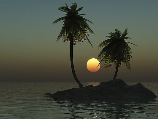 포토 JPG 해외이미지 나무 바다 섬 일러스트 손바닥 그림자 사람없음 태양 일몰 사막 해외202004 해외포토 자연요소 식물 손 노을 파일형식 이미지허브