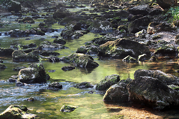 포토 JPG 해외이미지 계절 공원 잎 자연 산 이끼 풍경 사람없음 야외 초록색 물 여름 강 봄 폭포 흐름 가을 바위 신선 개울 떨어짐 내추럴 해외202004 해외포토 자연요소 식물 공공시설 컬러 컨셉 돌_바위 생태계 파일형식 이미지허브