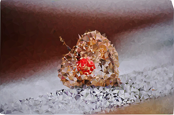 포토 JPG 해외이미지 모양 디자인 행복 결혼 백그라운드 일러스트 관계 결혼식 추상 휴가 친절 발렌타인데이 종류 사랑 미술 사람없음 장식 빨간색 컬러풀 반사 파티 하트 축하 인사 신용카드 크리스탈 보석 심볼 사인 종이접기 다이아몬드 광 인기 폴리곤 스타일 해외202004 해외포토 감정 종이 컬러 컨셉 무늬 데이이벤트 문화예술 이벤트 금융 예절 광석 접기 파일형식 이미지허브