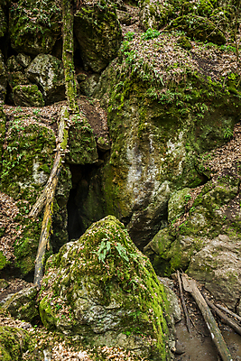 포토 JPG 해외이미지 모양 식물 벽 자연 산 이끼 경사 사람없음 야외 초록색 어둠 구멍 개울 동굴 재산 무서움 대문 체코 대야 제비 숨김 내추럴 전국 해외202004 해외포토 감정 유럽 컬러 컨셉 조류 금융 강 문 생태계 파일형식 이미지허브