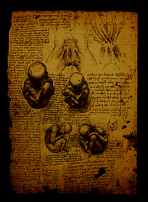 포토 JPG 해외이미지 교육 남자 종이 과학 신체 일러스트 텍스트 해부 미술 사람 사람없음 건강관리 이탈리아 손상 수확 골동품 역사 스케치 심볼 과학자 그림 질감 생물학 페이지 그런지 옛날 해외202004 해외포토 직업 유럽 컨셉 농업 의학 문화예술 건강 관리 학자 파일형식 이미지허브